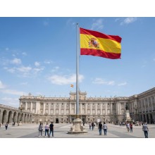 Bandera España oficial 6,6x4,43 metros (tipo 1) - La Tienda de España